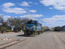 207 mit Gterzug Windhoek-Gobabis auf Bahnhof Gobabis am 7-7-2010.