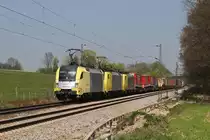 182 513 + 189 915 + 189 909 mit DGS 43101 am 24.04.2010 bei Gro�karolinenfeld.