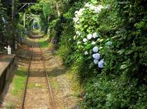 Die Chshi-Bahn und Blumen: Blick aus Wagen 1002 auf die Strecke bei Moto Chshi. 1.Juli 2010.