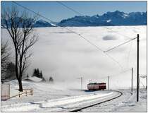Sportzug bei Rigi-Staffel  Richtung Kaltbad
2. Januar 2009