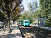 Der Baum blieb stehen -

Oberirdische Haltestelle  Schäfflestraße  an der U7 in Richtung Enkheim. Der Unterstand ist typisch für die neueren Stationen. Ungewöhnlich für eine Stadtbahn sind die Oberleitungsmäste. 

01.09.2005 (M)