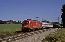 1216 017  bei Gro�karolinenfeld  09.07.10