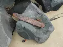 Bei Ebbe kann man an der Ostspitze der Insel Wangerooge noch viele �berreste der alten Inselbahn finden, so auch dieses alte Schienenst�ck.
Aufgenommen am 30.07.2010 auf Wangerooge.