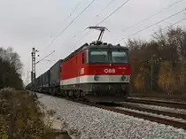 Die 1144 252 am 31.10.2009 mit dem Walter KLV-Zug unterwegs bei Haar (M�nchen). 