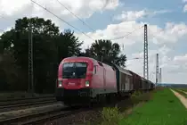 Eigentlich sollte 1116 007 an diesem Zug h�ngen als aber dann 1116 003  Rail Cargo Austria  am Zug hing, hatte ich nichts einzuwenden. (19.08.2010, Mangolding)