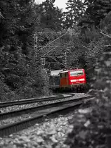 111 023 mit RE von Innsbruck nach M�nchen Hbf am 20.08.2010 kurz nach Tutzing am Starnberger See.
