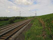 Die KBS 466 im Rheingau zwischen Erbach und Hattenheim; 25.08.2010