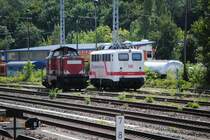 augenommen am 31.08.2010 in Berlin Greiswalder Str.