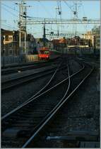 Knapp �ber den Gleisen schweben erste flache Morgensonnenstrahlen �ber das Gleisvorfeld von Gen�ve und erhellen un�bersehbar die Front eines NPZ auf der Fahrt von Lancy Pont Rouge nach Coppet. 
31. August 2010