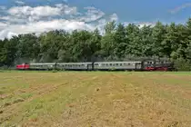 Die Dampflok 64 419 und die Diesellok 212 084-8 (V100) als Weinfestbummler, hier zwischen Gottenheim und Hugstetten. Am 29. August 2010
