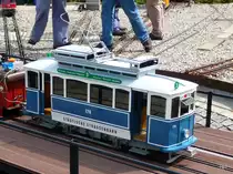 Dampfbahn Aaretal M�nsingen - Z�rcher Tram Ce 2/2 176 unterwegs am 29.08.2010