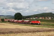 294 650 mit der �bergabe von Hirschau nach Amberg am 03.09.2010 bei Mimbach.