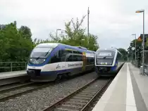 Zugkreuzung im Bahnhof von Pritzerbe an der Strecke Brandenburg HBF - Rathenow mit dem Talent 0006 der OLA und VT 564 Desiro der M�rkischen Regiobahn ( OLA ) am 02.09.2010