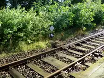 In der Herbstsonne am 31.08.2010 in Gifhorn, eine Weichenlaterne auf  Geradeausfahrt .