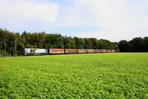DH 754 von HGK am 07.09.09 auf dem Weg nach Venlo in D�lken.