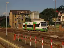 STB VT 123 (650 523-5 D-STB) im Bw der S�d-Th�ringen-Bahn in Meiningen; 04.09.2010