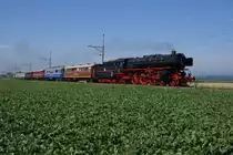 Bereits zum sechsten Mal fanden dieses Jahr die Lysser Dampfrundfahrten statt. Drei mal verkehrte ein Sonderzug, nat�rlich bespannt mit der Pacific 01 202, von Lyss �ber Bern nach Kerzers und von da zur�ck nach Lyss. Auf dem Bild zu sehen ist der Zug bei Bargen. (22.8.10)