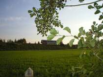 5047 kurz vor dem Bhf. RIED i.I. 2005-10-04