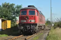 233 295-5, am 19.09.2010 im Ex BW Lehrte abgestellt.