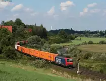 Re 482 024-7 mit einem Containerzug gen S�den 19.8.10