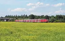Beim Radeln entlang meiner Hausstrecke fiel mir am 11. Juni 2010 ein herrlich bl�hendes Senffeld auf, das ich dann mit einer lokbespannten Regionalbahn umsetzen wollte. Zur Nachmittagszeit beschleunigt die Ludwigshafener 111 045 die versp�tete RB 18691 von Mannheim nach Karlsruhe nach dem Zwischenhalt in Wagh�usel in Richtung Wiesental. Hier kam es mir sehr zugute, dass alle lokbespannten Regionalbahnen auf der KBS 700 mit Versp�tung unterwegs sind, denn sonst w�re es mit der Sonne nichts geworden :-)