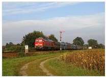 233 206 mit 2300t Steinkohle am Haken beim Abzweig S�richen, 24.09.2010