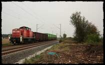 294 708 kommt mit dem M�llzug aus Richtung Plattling wieder zur�ck. Hier habe ich den  Dreck  den Bahnarbeiter liegen gelassen haben, ins Bild mitgenommen da es ja irgendwie zum  M�ll(zug)  passt. (30.09.2010, Taimering)