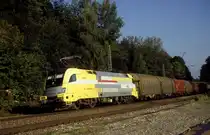 182 529  A�ling  01.09.05