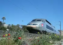 Ein TGV kommt aus der Kurve hinter dem westlichen Tunnelausgang und f�hrt weiter in Richtung La Bocca, einem Vorort von Cannes. 7.4.2008
