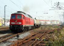 233 281 in D�beln (am 05.10.2005)