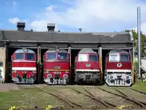 Am 09.10.10 fand im Bw Weimar das V300 Treffen statt. Im Lokschuppen standen 120 198-7, 120 274-6, 130 101-9, 131 072-1.