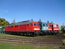 Am 09.10.10 fand im Bw Weimar das V300 Treffen statt. Ausgestellt waren von rechts MEG 317 (232 500-9), MEG 313 (232 068-7), 234 304-4, 232 010-9.
