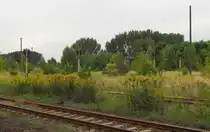 Ehemalige Signale f�r Bremsproben im Bf Braunsbedra; 07.09.2010