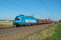 Mit einem Ganzzug ist am 10.10.2010 die 1016 023
zwischen Oftering und Marchtrenk gefahren.