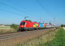 Nicht uninteressant war am 10.10.2010 der
EC 564  Universit�t Salzburg  bespannt.
1116 058 und 1116 250 sind mit diesem
Zug kurz vor Marchtrenk �ber die
Westbahn gerauscht.