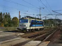 Die 242 250 am 10.10.2010 bei einer Rangierfahrt in Klatovy. 