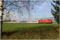 1116 155 f�hrt mit EC 102 Polonia von Villach nach Warschau. 
Zeltweg 9.10.2010