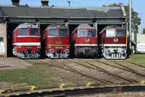 Am 09.und10.10.2010 fand im Eisenbahnmuseum Weimar der Saisonausklang unter dem Motto V300-Ludmilla Treffen statt.Vor dem Lokschuppen standen 131 072 und 130 101 neben den beiden Taigatrommeln 120 274 und 120 198.10.10.2010. 