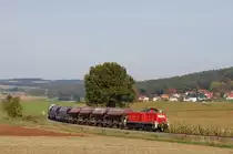 294 601 mit G�terzug bei Mimbach am 08.10.2010. (Strecke Amberg-Schnaittenbach)