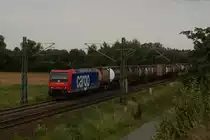 482 031-2 mit einem Containerzug in Nauheim (bei Gro� Gerau) am 03.08.2010