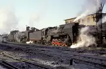 QJ 6964  Nancha  31.12.92