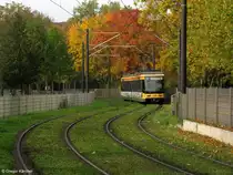 23.10.2010: TW 262 unterwegs als Tram 2 nach Wolfartsweier. Aufgenommen zwischen Ellmendinger Stra�e und Ostmarkstra�e. Ich bin nicht �ber den Zaun geklettert. Das Bild habe ich von einem Bahn�bergang aus gemacht, der f�r Fu�g�nger und Radfahrer gebaut wurde.