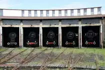 41 1289, 50 3517, 52 8058 und 52 8117 am 04.09.2010 im ehemaligen BW Falkenberg oberer Bahnhof. Die Sammlung war dieses Jahr leider nur an diesem einem Wochenende zug�nglich.

