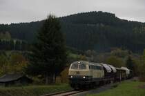 216 224 mit G�terzug am 22.10.2010 bei Feudingen
