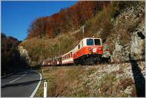 Der R 6835 enstand am 29.10.2010 aus der 1099 004 und drei Waggons. Diese Aufnahme zeigt den Zug zwischen Loich und Schwarzenbach.