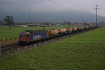 Am 13.10.10 pr�sentierte sich mir der Herbst von seiner h�sslichen Seite, n�mlich ziemlich neblig. Aber der Nebel hat auch Vorteile, man kann n�mlich Z�ge aus beiden Richtungen ablichten, wie hier die Re 620 087-7, die sonst aus starkem Gegenlicht aufgetaucht w�re.