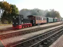 Ob die 105 PS von K�f 6003 gereicht haben,um diese staatliche Fuhre weg zubekommen,ist mir nicht bekannt.Aufnahme vom 13.Oktober 2010 in Putbus.