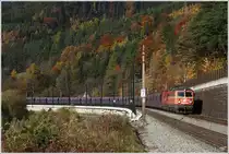 1142 567 + 1016 050 mit Leerzug 47361 von Donawitz nach Wien Zvbf. Gloggnitz 29.10.2010

