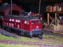 215 060 von Roco im Nebenbahn BW .