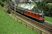 11603  Gurtnellen  18.07.95
